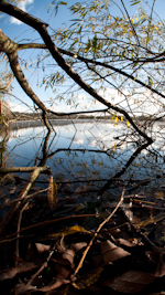 attenborough nature reserve nottingham