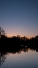 martins pond nottingham